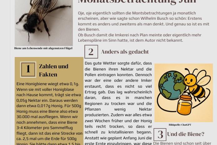 07_BeeLetter