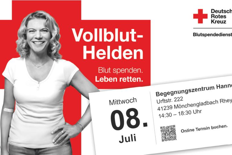 40537 Vollblut-Helden 08.07.2026 F2