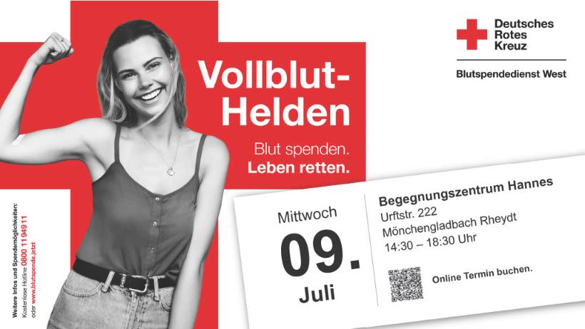 40537 Vollblut-Helden 09.07.2025