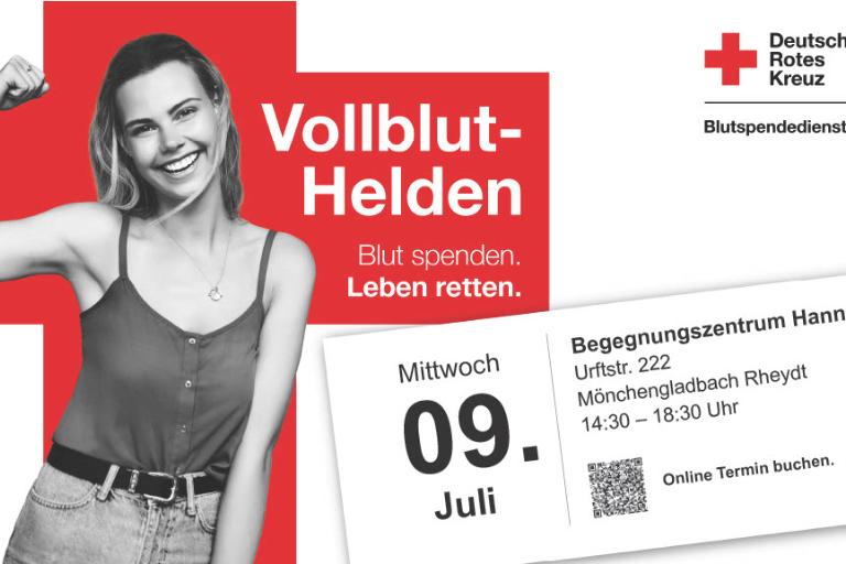 40537 Vollblut-Helden 09.07.2025