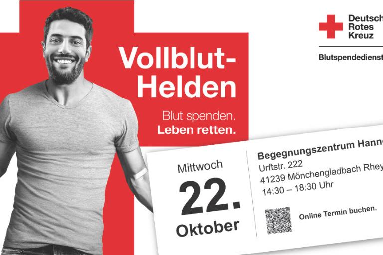 40537 Vollblut-Helden 22.10.2025 M