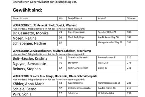 Ergebnis-Pastoraler Raum