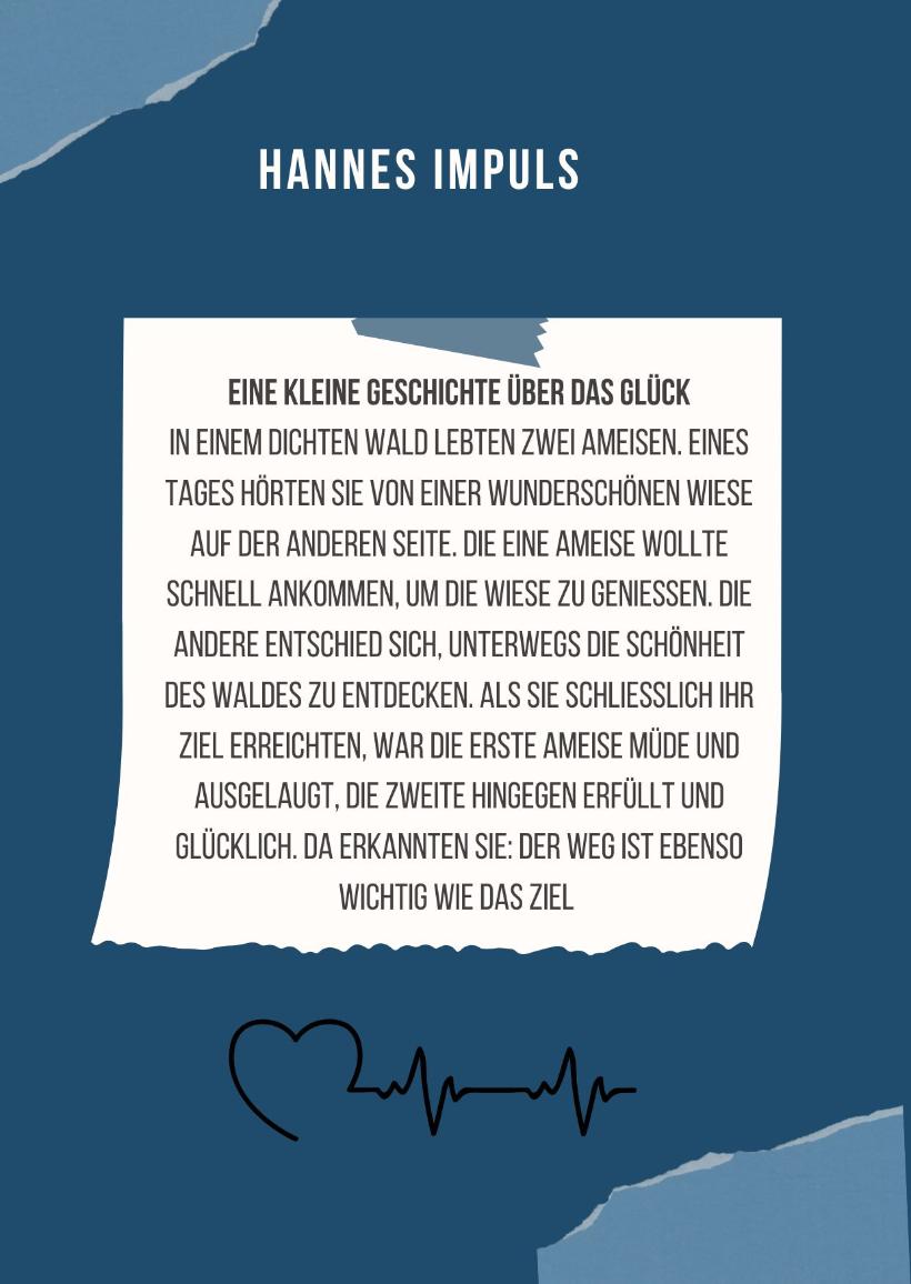 Hannes Impuls-2